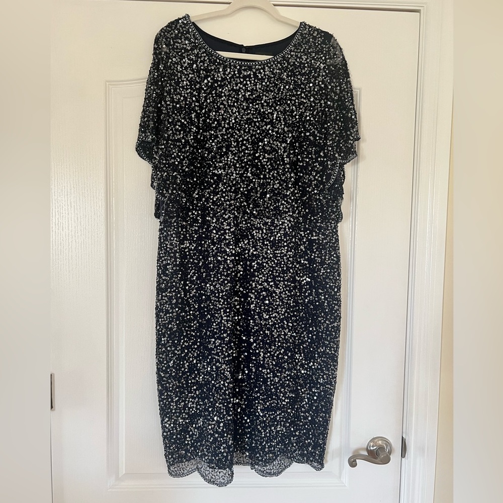 Adrianna Papell Woman’s Plus Size Dress